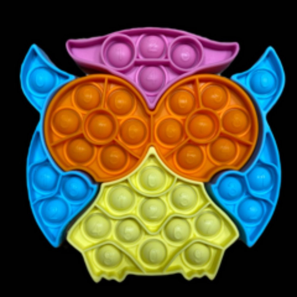 Fidget Toy Pop Its Owl Puzzle